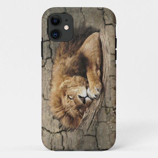 ライオン眠っている動物の野生の猫石 Case-Mate iPhoneケース (裏面)