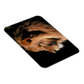 ライオン磁石 マグネット (右側)