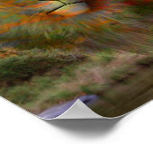 ライオン秋葉ファンタジーアートポスター ポスター (角)