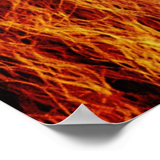 ライオン絵を描顔のアートワーク–17335 ポスター (角)