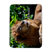 ライオン舌を突き出す – 私は月曜日ではない マグネット (縦)