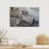 ライオン視点ポスター ポスター (キッチン)