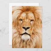 ライオン誕生パーティー 招待状 (正面/裏面)