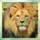 ライオン雄ガラス窓が引っ掛かる ウィンドウサイン (シート3)