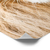 ライオン顔クローズアップ ポスター (角)