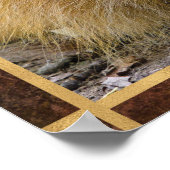 ライオン顔写真 ポスター (角)