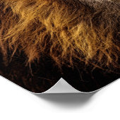 ライオン顔 ポスター (角)