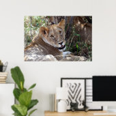 ライオン顔 ポスター (ホームオフィス)