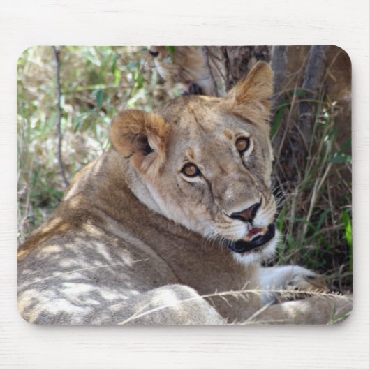 ライオン顔 マウスパッド (正面)
