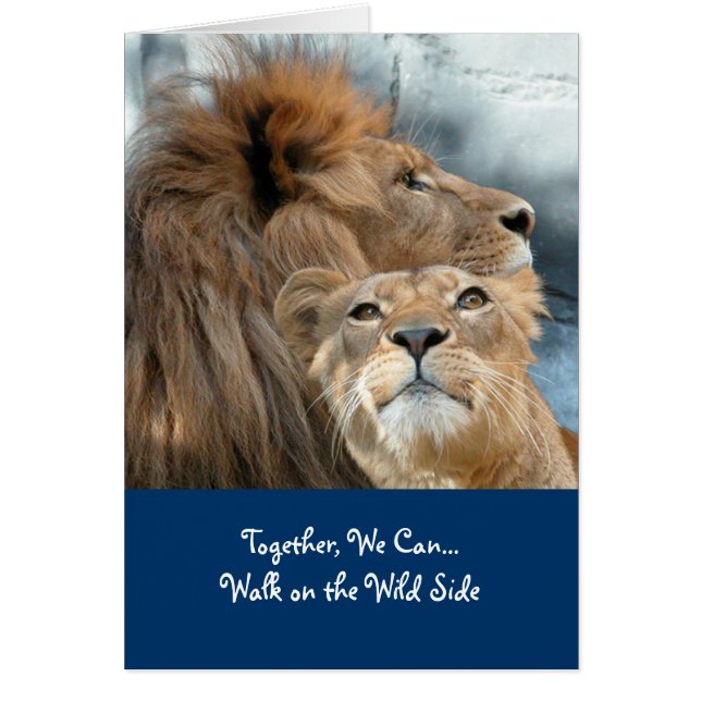 ライオン (正面)