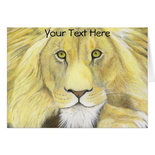 ライオン (正面横)