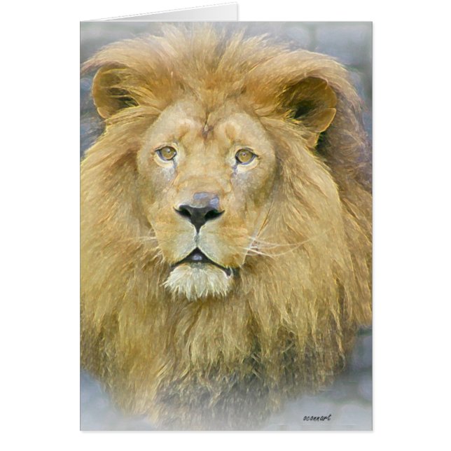 ライオン (正面)