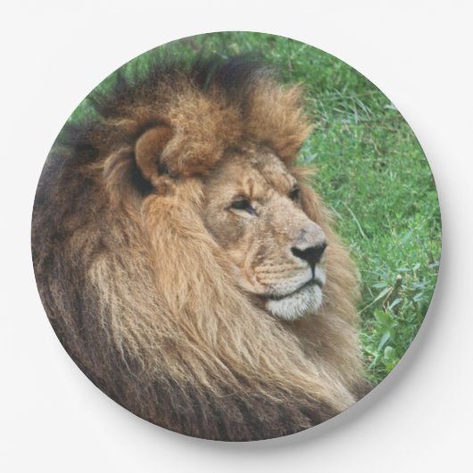 ライオン001 ペーパープレート (正面)