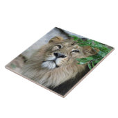 ライオン002 タイル (側面)