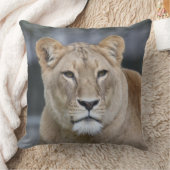 ライオン004 クッション (ブランケット)