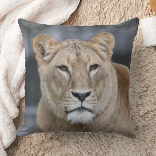 ライオン004 クッション (ブランケット)