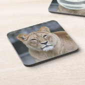 ライオン004 コースター (左側)