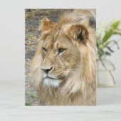 ライオン011 シーズンカード (スタンド正面)