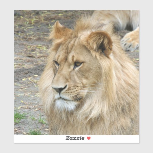 ライオン011 シール (シート)