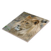 ライオン011 タイル (側面)