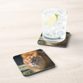 ライオン013 コースター (右側)