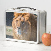 ライオン013 メタルランチボックス (インサイチュ)