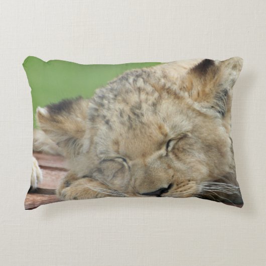 ライオン014 アクセントクッション (正面)