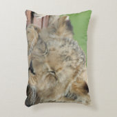 ライオン014 アクセントクッション (正面(垂直))