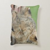 ライオン014 アクセントクッション (裏面(縦))