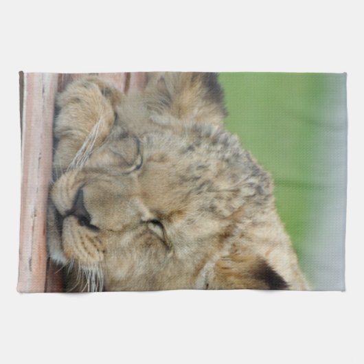 ライオン014 キッチンタオル (横)