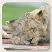 ライオン014 コースター (正面)