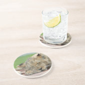 ライオン014 コースター (側面)