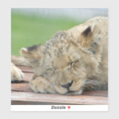 ライオン014 シール (シート)