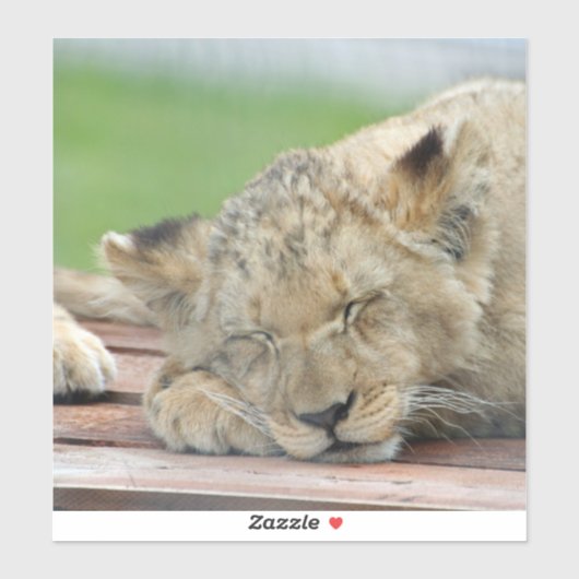 ライオン014 シール (シート)