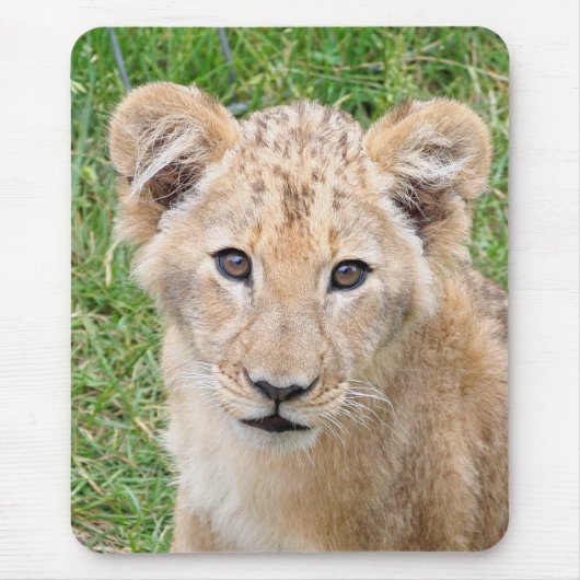 ライオン016 マウスパッド (正面)