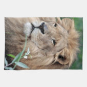 ライオン021 キッチンタオル (横)