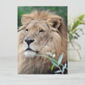 ライオン021 シーズンカード (スタンド正面)