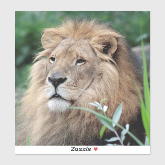 ライオン021 シール (シート)