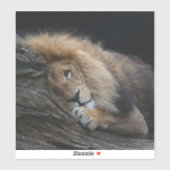 ライオン030 シール (シート)