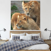 ライオン033 キャンバスプリント (インサイチュ (寝室))