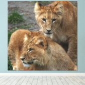 ライオン033 キャンバスプリント (インサイチュ (ウッドフロア))