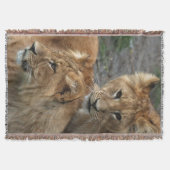 ライオン033 スローブランケット (正面)