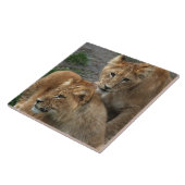 ライオン033 タイル (側面)