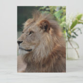 ライオン035 シーズンカード (スタンド正面)