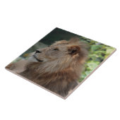 ライオン035 タイル (側面)