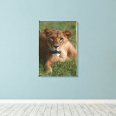 ライオン10 キャンバスプリント (インサイチュ (ウッドフロア))