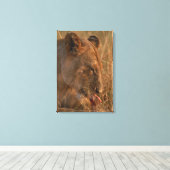 ライオン12 キャンバスプリント (インサイチュ (ウッドフロア))