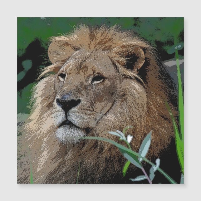 ライオン20150805 (正面)