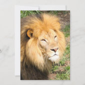 ライオン6918誕生日招待状 招待状 (正面)