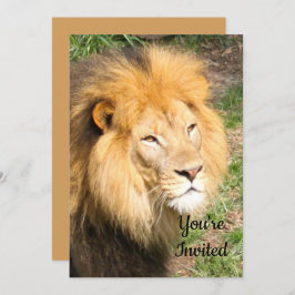 ライオン6918誕生日招待状 招待状